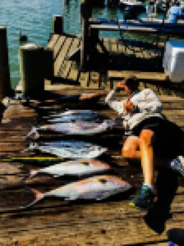 Bayshore Lodge 123 Rental   Port O Connor TX