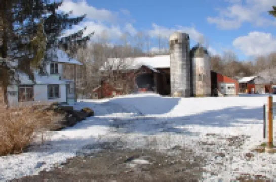 Cozy  2 bed 2 bath apt. with porch, peaceful Riverfront in the NW Catskill area