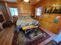 Comfy Cozy Forest Home/ Rainbow Lake Neighborhood