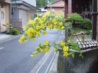 Hana Akari No Yado Yanagiya