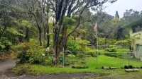 Experience Tranquility in a Spacious 3-Bedroom Surrounded by Hawaiian Forest
