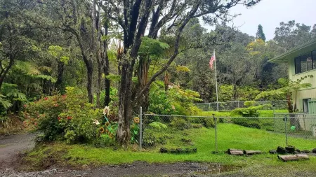 Experience Tranquility in a Spacious 3-Bedroom Surrounded by Hawaiian Forest Отели в г. Волкейно