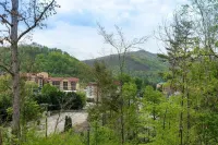 Snoring Bear Condo 2 Bed/2 BA Views Pool Walk to d'Town Gatlinburg / Anakeesta
