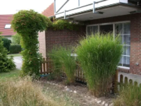 Family friendly apartment in Rerik for 4 persons, 150 m to the beach