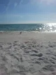COZY BEACH HOUSE 2 BEDROOM - Apartments