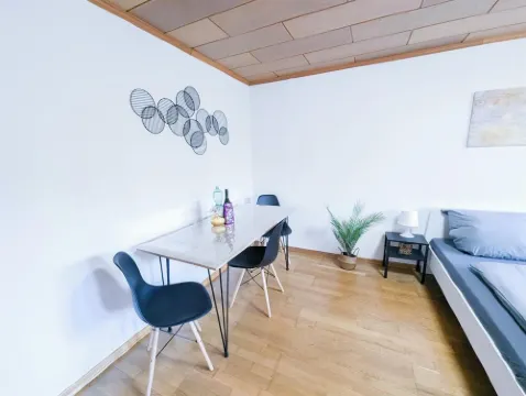 ALFA Stuttgart 3BR 6people Bosch/Porsche INET WIFI