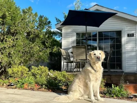 Dog Friendly Beach Cottage within a mile of town & 7 Lake Michigan beaches