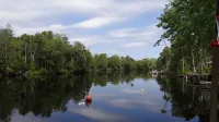 A Nature Lover's Paradise - Aucilla River St. Marks National Wildlife Refuge
