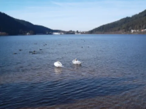 chalet-xonrupt longemer for 6 people