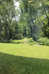 The Wooded Retreat