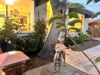 Charming 3-bedroom in Del Rey Oaks with AC, WiFi hot tub & all the hot comforts