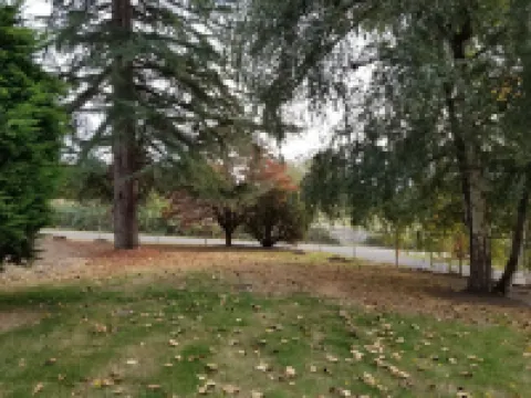 Country feel, w/ all amenities, close to winery, restaurants, shops, & freeway!