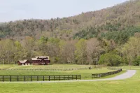 Toccoa River Frontage With Year-Round Mountain Views