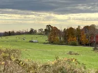 Litchfield Modern Farmhouse