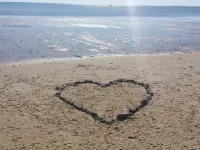 Spectacular Private Waterfront Cottage on Bayside. Panoramic Views. Pet Friendly Hotels in Wellfleet