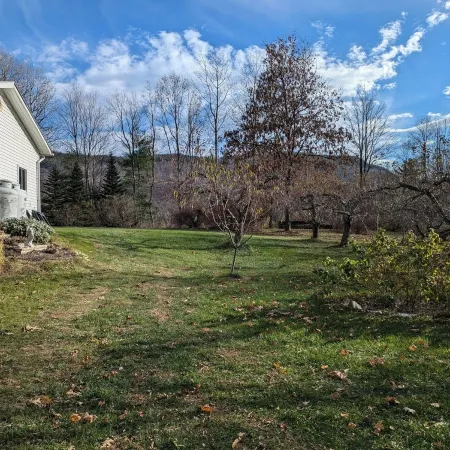 Cozy Tiny Home in Charming Bristol VT, Close to Skiing, Hiking, Swimming Holes Отели в г. Аддисон