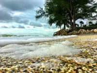 Spacious home near W. Dearborn St. Heated pool. Minutes away from 2 beaches!