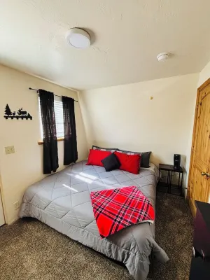 “Beary” cozy cabin in Show Low pines!