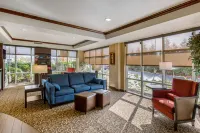 Comfort Suites Hotels in Georgetown