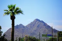 Beautiful 1st floor poolside 2-bedroom condo 5 min walk to Old Town Scottsdale..