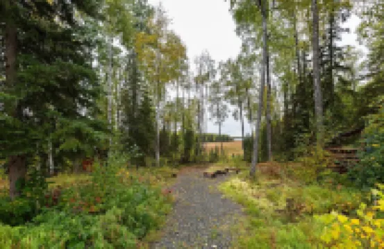 Cabin in the Woods 1 Bedroom Cabin