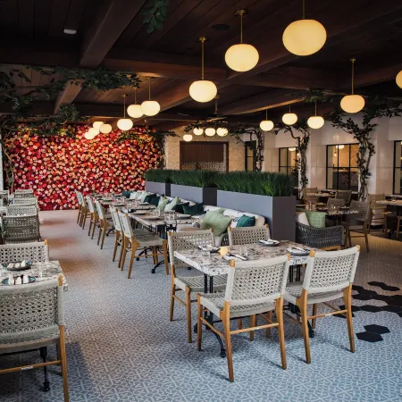 Palm Garden Hotel