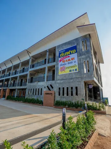 รูปภาพของต้นฝางโฮเต็ล