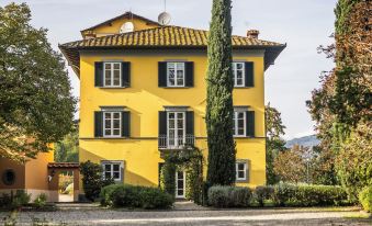Villa Pacini - Just 1,8 km Outside Lucca Wall - Pool