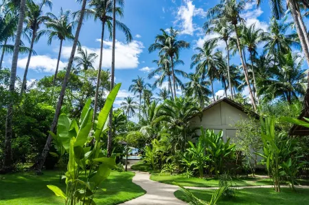 เอลนีโด มาฮอกกานีบีช