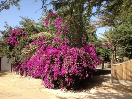 Villa Morabeza Guest House