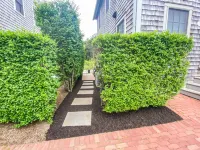 Nantucket Guest House