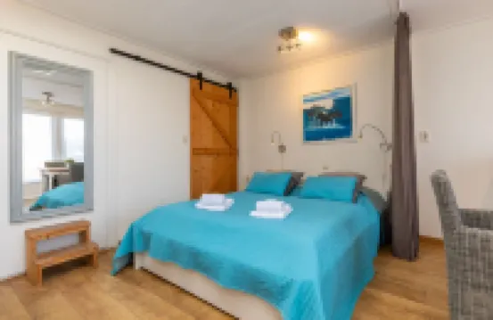 海邊寵物友好度假屋