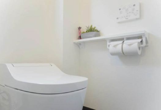 Other Dandelion Photo