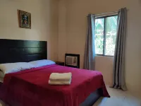 레드 나이트 가든스