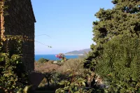 Hotel Hermitage - Ocean View