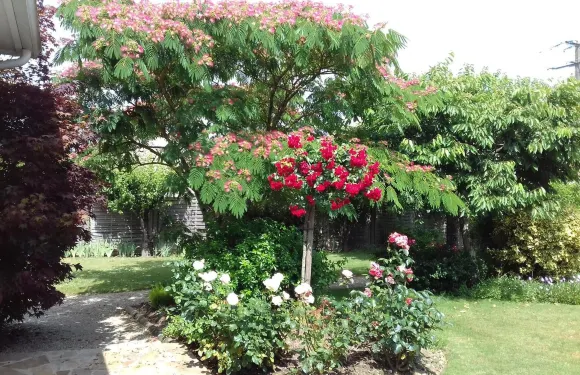 勒米里爾住宿加早餐旅館