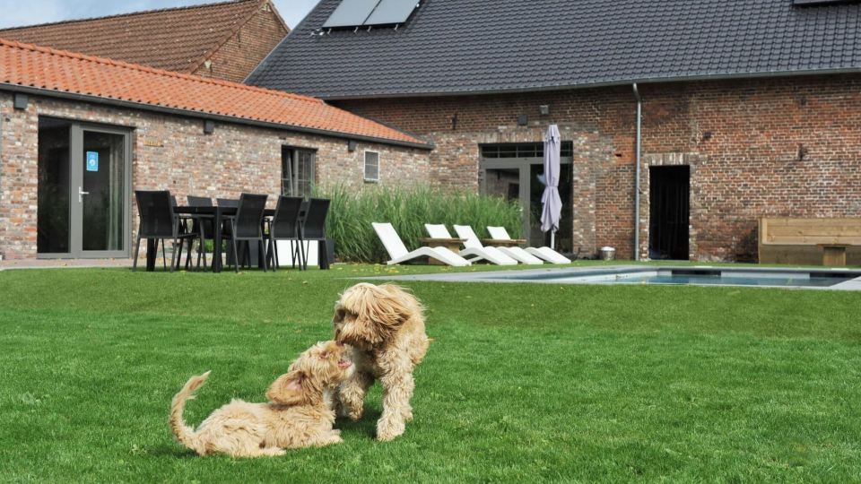 Vlaanderen Cozy Cottage