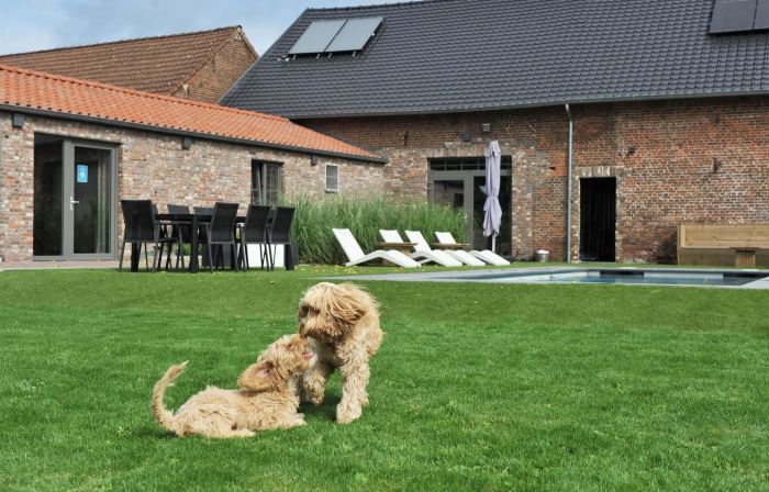 Vlaanderen Cozy Cottage