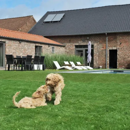 Vlaanderen Cozy Cottage