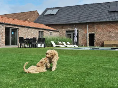 Cottage in Vlaanderen for 3 Person