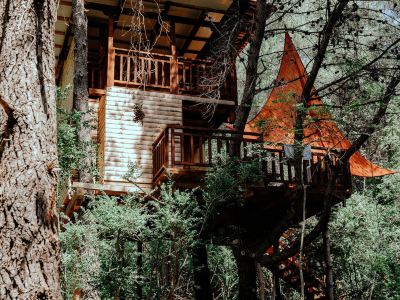 TreeHouses Ljubač Glamping Robinson