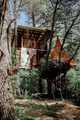 TreeHouses Ljubač Glamping Robinson