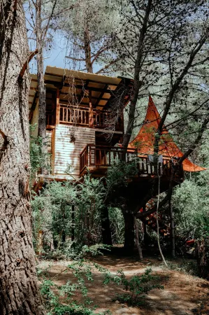 TreeHouses Ljubač Glamping Robinson