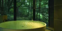 Boscage Kariya Hotels in Yugawara