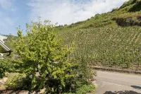 Hotel Garni "Café im Hamm" Hotels in Senheim (Mosel)
