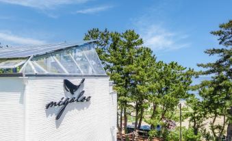 Samcheok Migaloo Pool Villa Pension