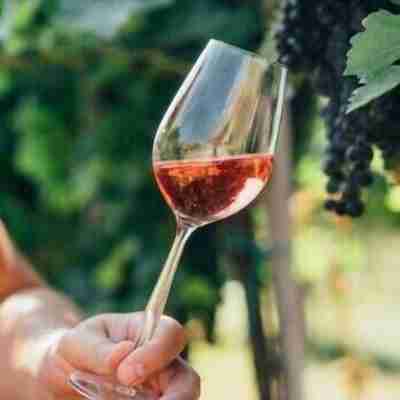 Au Coin des Vins Fitness & Recreational Facilities