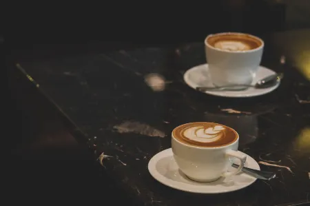 The Plaza Lodge Baguio