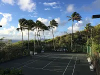 Young Island Resort
