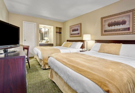 5. 트래블로지 바이..